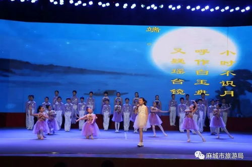 少年風(fēng)國學(xué)誦大賽精品展演暨孝善國學(xué)講堂活動(dòng)圓滿成功